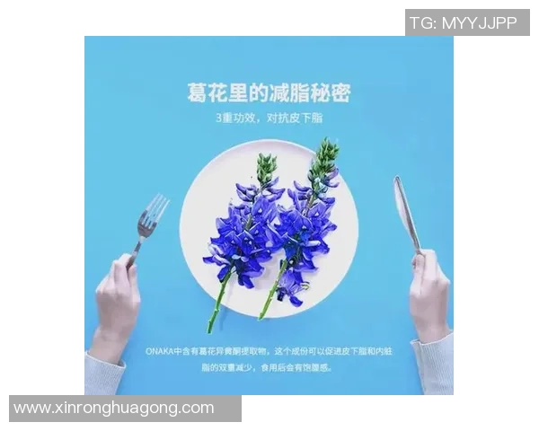 通过足球运动实现有效减肥的科学分析与实践指南